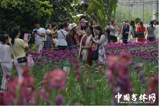 鲜切花展区成小型的南方园林