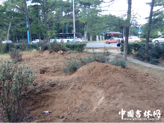 对面是昂昂溪路