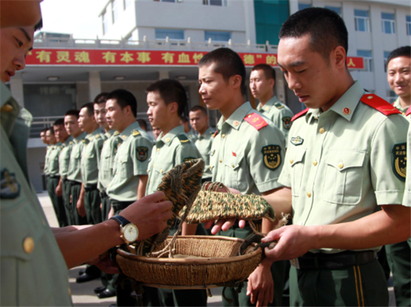 12_副本.png 12_副本.png