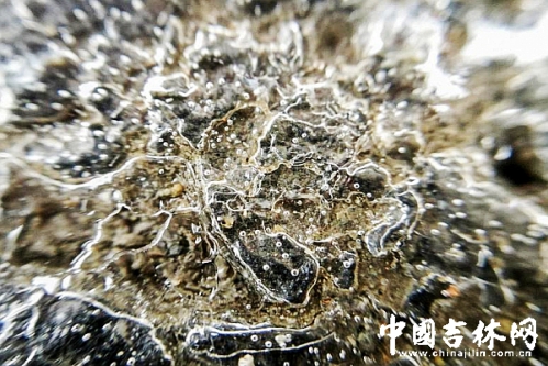 微距镜头拍摄的画面 微距镜头拍摄的画面