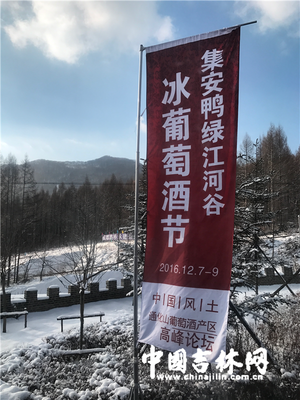 2016集安鸭绿江河谷冰葡萄酒节开幕