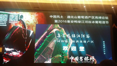 2016集安鸭绿江河谷冰葡萄酒节开幕