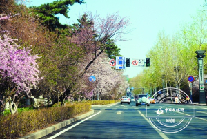 5月份的新民大街 5月份的新民大街