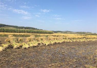 图片2.jpg 图片2.jpg