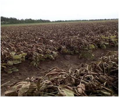 图片3.jpg 图片3.jpg