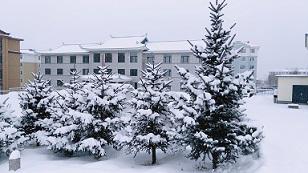 图片5.jpg 图片5.jpg