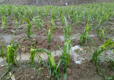 图片7.jpg 图片7.jpg