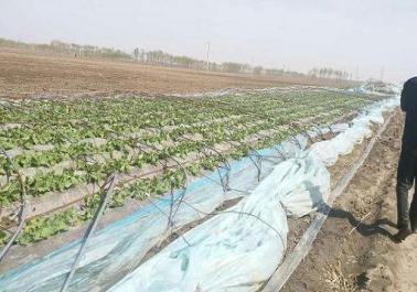 图片8.jpg 图片8.jpg