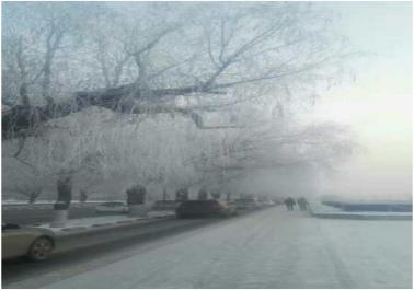 图片9.jpg 图片9.jpg