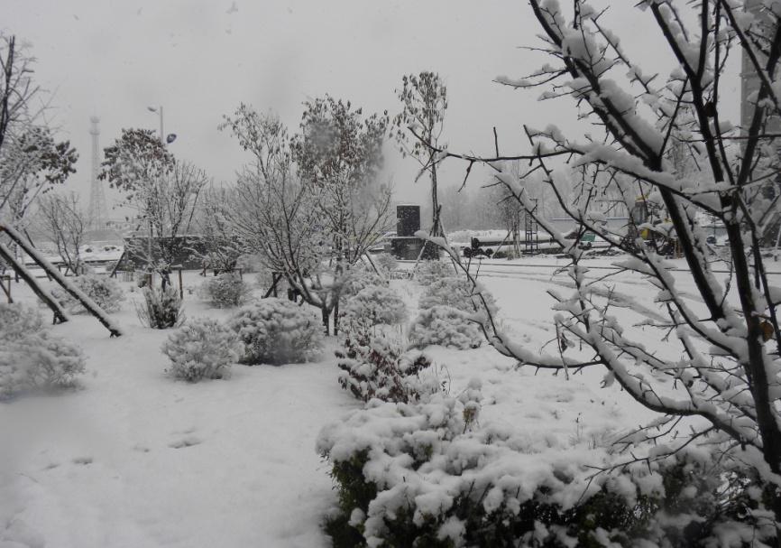 图片10.jpg 图片10.jpg