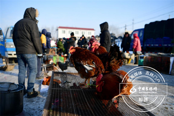 “看我来一个金鸡独立” “看我来一个金鸡独立”