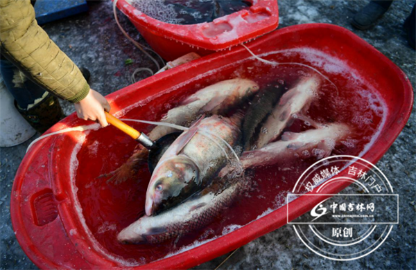 图片7.png 图片7.png