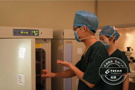 专家揭秘胚胎冷冻全过程 专家揭秘胚胎冷冻全过程