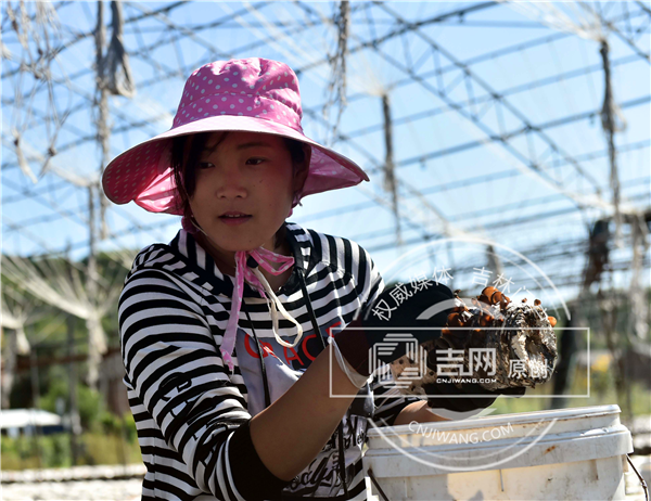 图片12_副本1.png 图片12_副本1.png