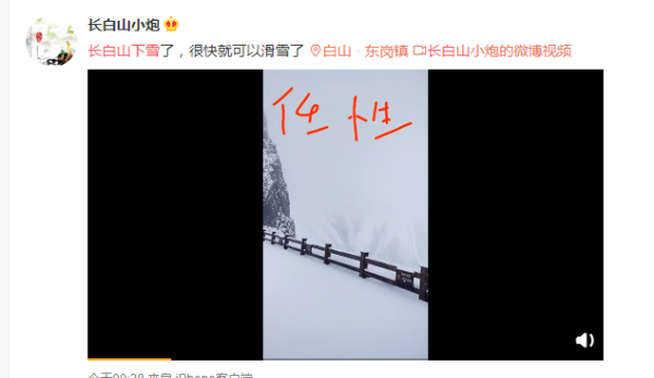 任性.png 任性.png