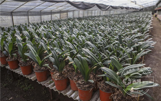 伊通县建国村的“致富秘籍”4_副本.jpg 伊通县建国村的“致富秘籍”4_副本.jpg