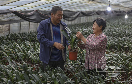 伊通县建国村的“致富秘籍”_副本.jpg 伊通县建国村的“致富秘籍”_副本.jpg