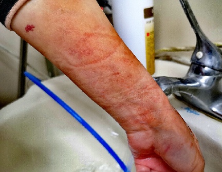 图片5.jpg 图片5.jpg