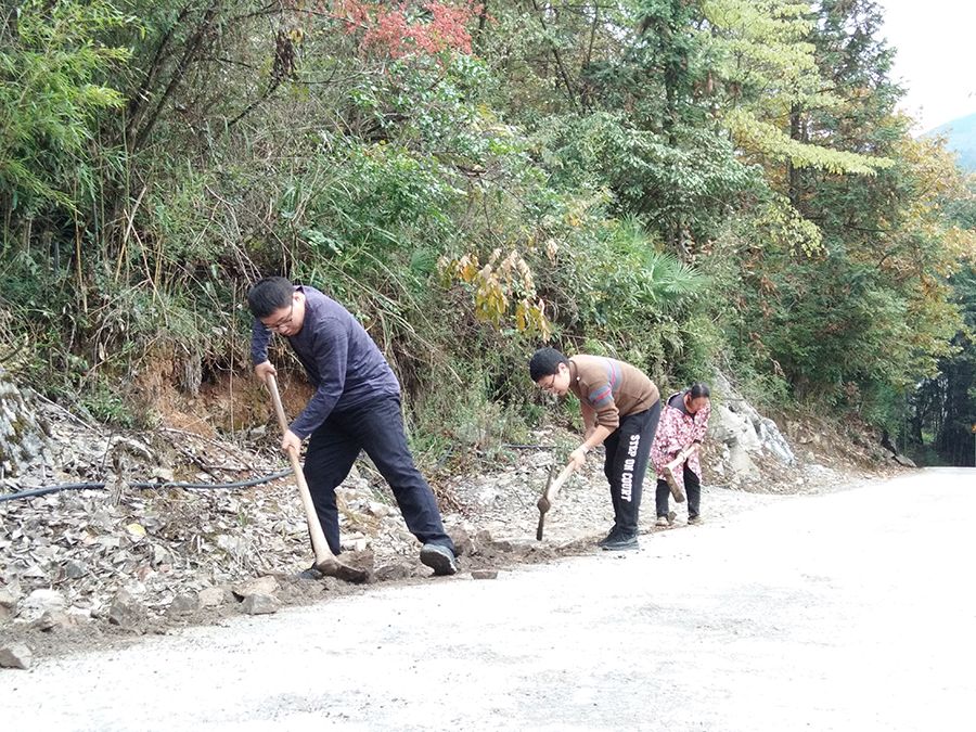 图片3.jpg 图片3.jpg