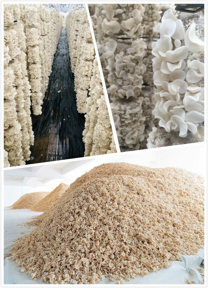 微信图片_20200225150037.jpg 微信图片_20200225150037.jpg