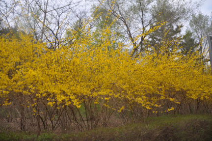 6NF5FJ4~CHUZE1$DS2}R4(W.png 6NF5FJ4~CHUZE1$DS2}R4(W.png