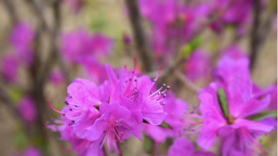 K%3VL3RWWM~2SFYIM`_B$WQ.png K%3VL3RWWM~2SFYIM`_B$WQ.png