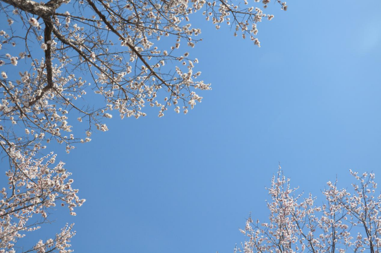 {L21SEYY0FO~WEF)HF%)SCB.png {L21SEYY0FO~WEF)HF%)SCB.png