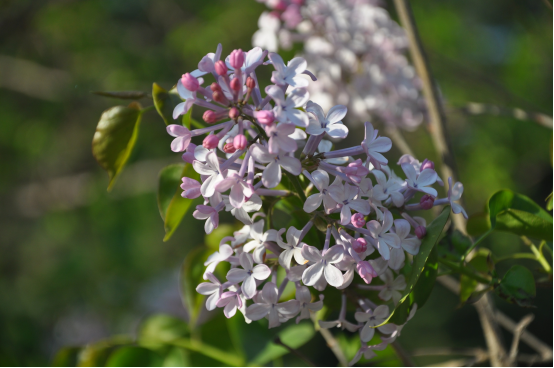 4X%(A[NUKRFOHUHALBJLH%0.png 4X%(A[NUKRFOHUHALBJLH%0.png