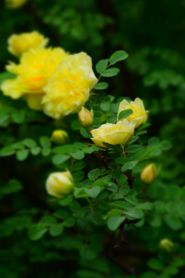 0)P7{BX}BPZMHGNEF{0OQGK.png 0)P7{BX}BPZMHGNEF{0OQGK.png