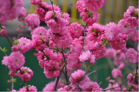 KW8XJ[S_3`4X3KH%BEN%[KC.png KW8XJ[S_3`4X3KH%BEN%[KC.png