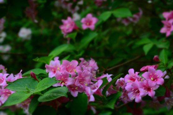 [3Y@LIZW}$KM_ILYGXLFZ%5.png [3Y@LIZW}$KM_ILYGXLFZ%5.png