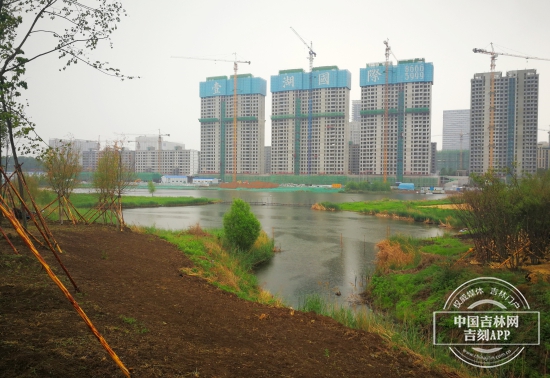 TIM图片20200609141326.jpg TIM图片20200609141326.jpg