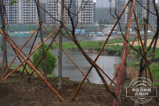 TIM图片20200609141340.jpg TIM图片20200609141340.jpg