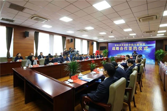 图片3.jpg 图片3.jpg