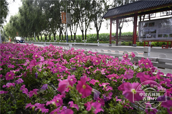 图片1.jpg 图片1.jpg