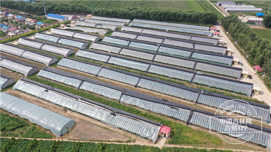 图片5.jpg 图片5.jpg