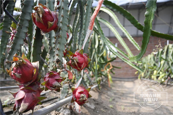 图片6.jpg 图片6.jpg