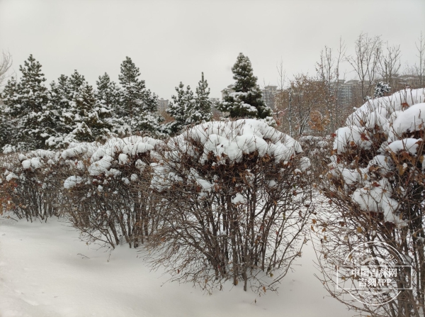 11.10.3.jpg 11.10.3.jpg