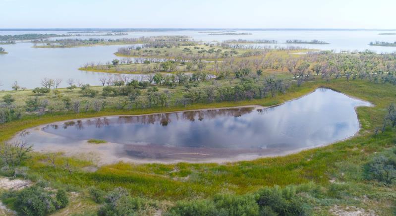 mmexport1643350362788.jpg mmexport1643350362788.jpg