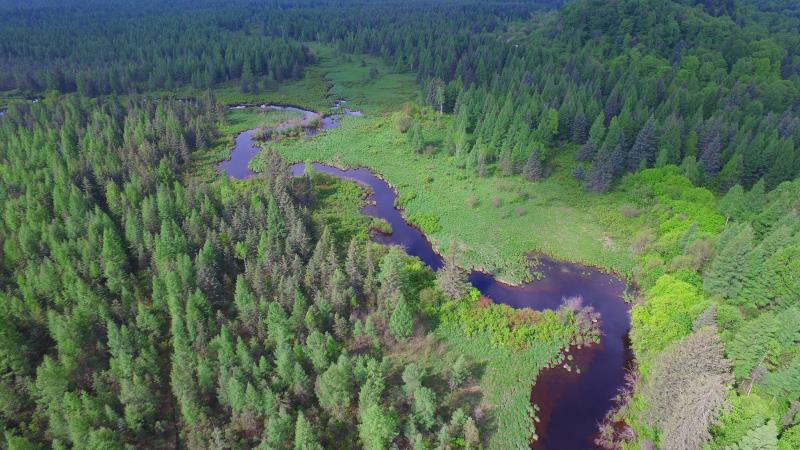 mmexport1643350370225.jpg mmexport1643350370225.jpg