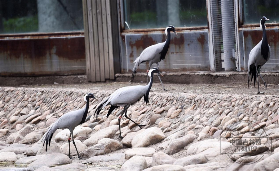 图片 2.jpg 图片 2.jpg