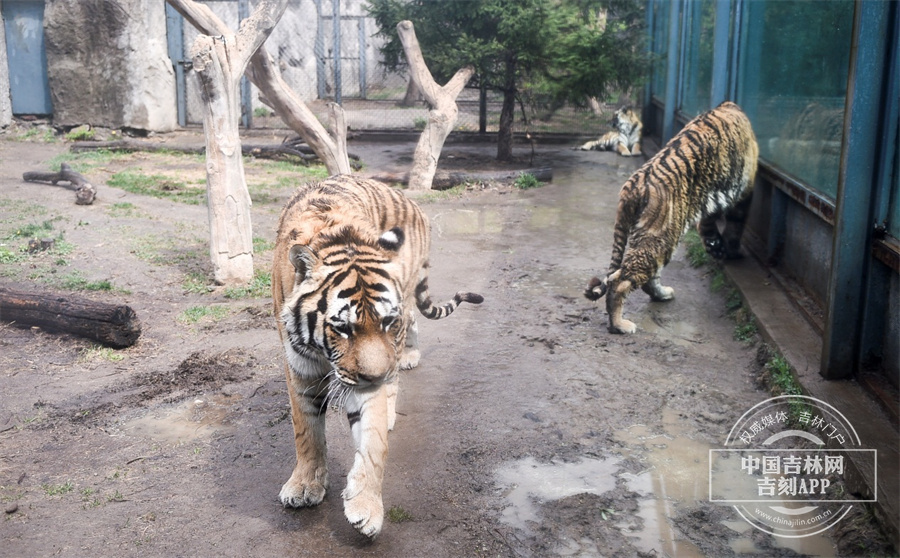 图片 3.jpg 图片 3.jpg