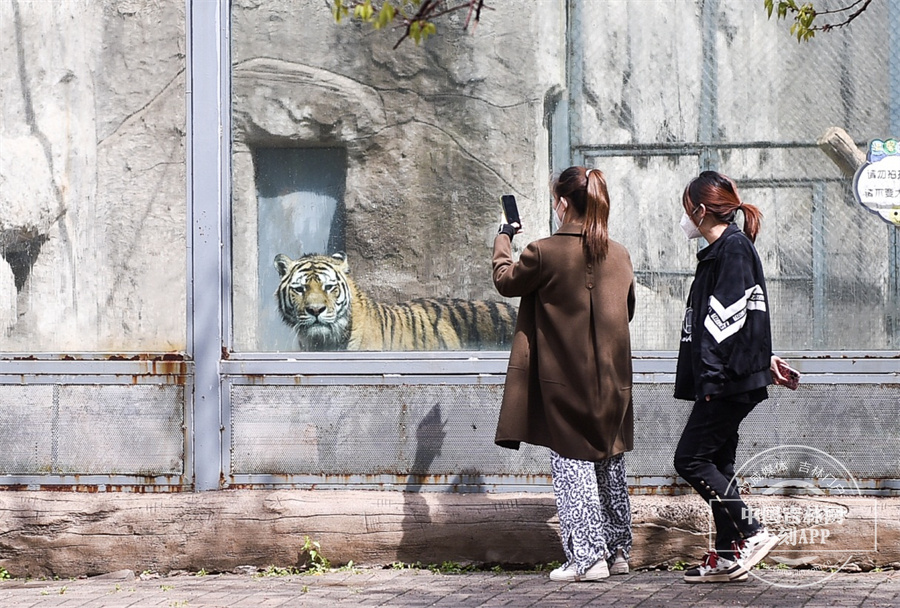 图片 4.jpg 图片 4.jpg