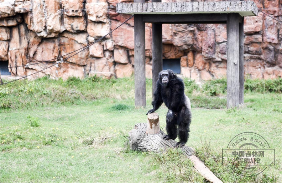 图片 5.jpg 图片 5.jpg