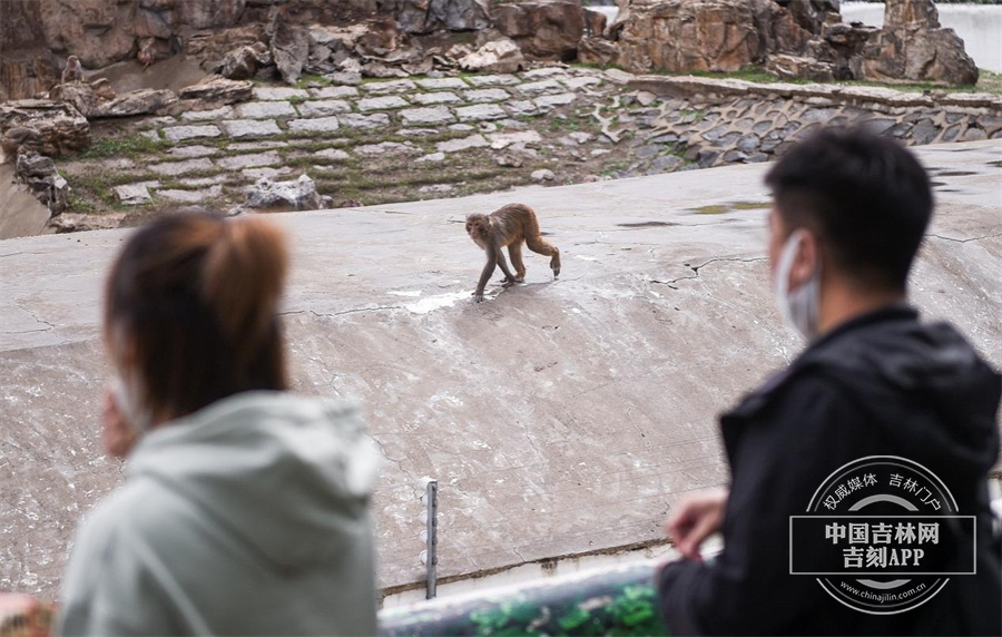 图片 6.jpg 图片 6.jpg