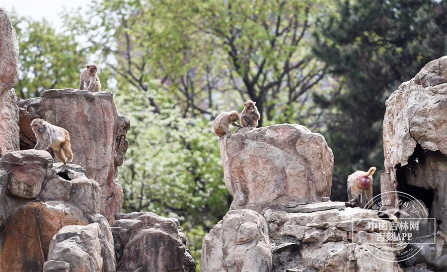 图片 7.jpg 图片 7.jpg