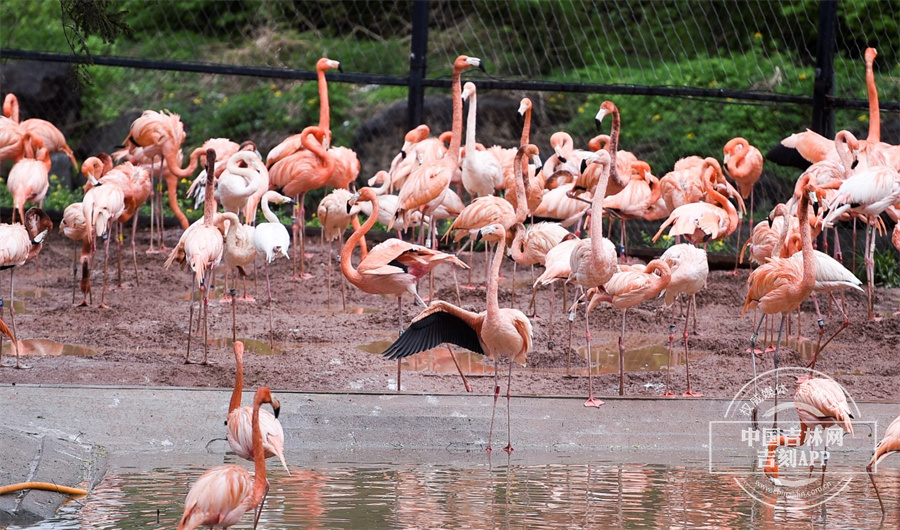 图片 9.jpg 图片 9.jpg