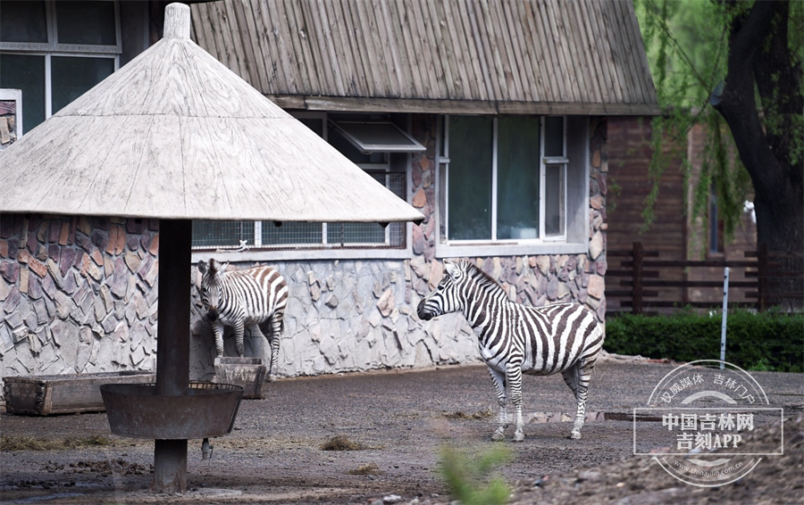 图片 10.jpg 图片 10.jpg