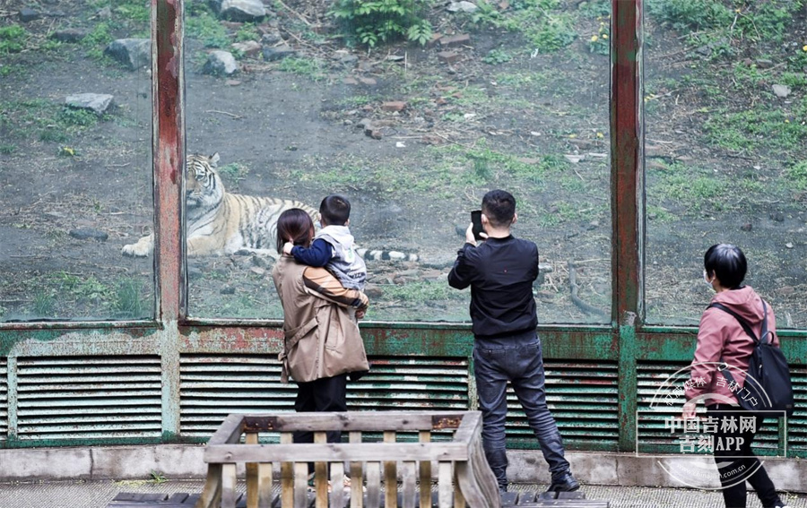 图片 11.jpg 图片 11.jpg