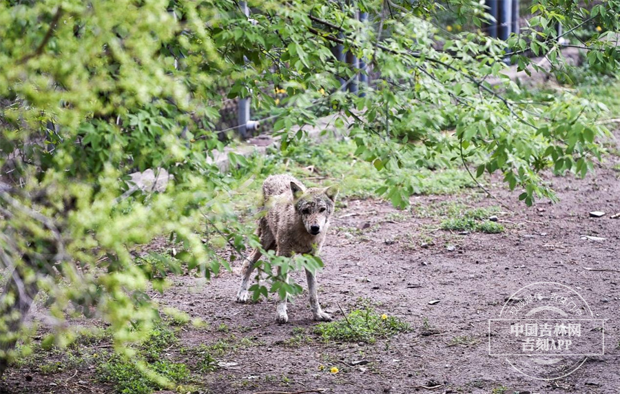 图片 12.jpg 图片 12.jpg